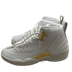 AIR JORDAN 12 RETRO "PHANTOM” | Womens size 8.5 | FD9101 007